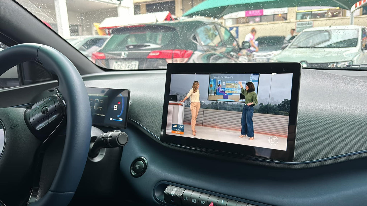 AIVEX for BYD