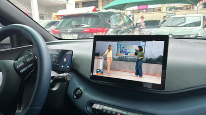 AIVEX for BYD