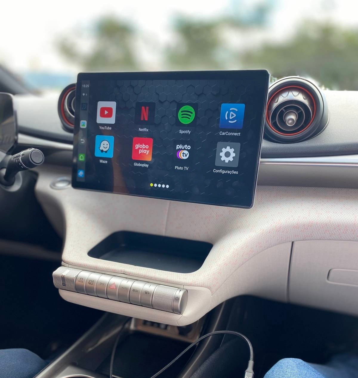 AIVEX for BYD