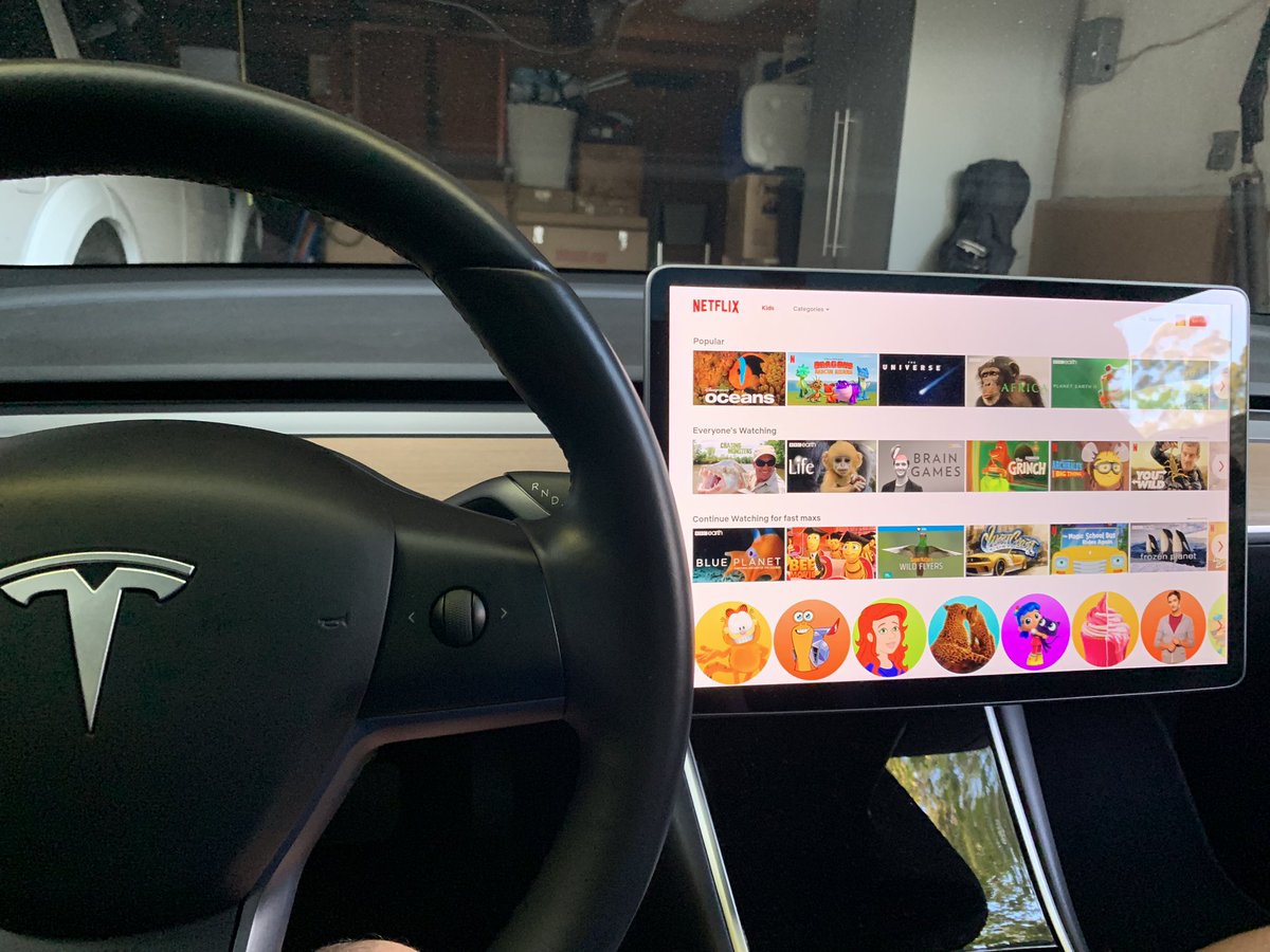 AIVEX for TESLA Cars